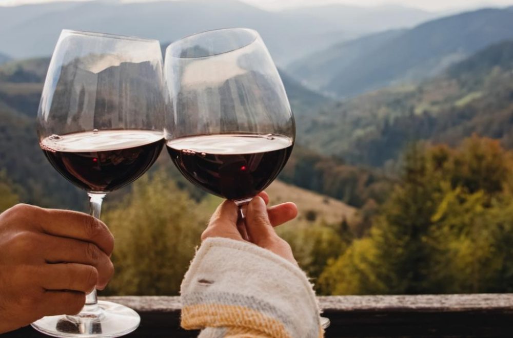 Top 5 de los mejores vinos del mundo en el 2023