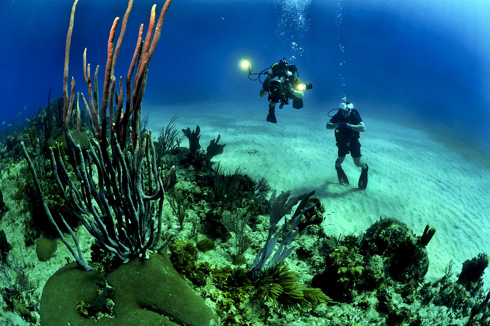 Legisladora quiere prohibir protectores solares que dañan los arrecifes de coral en Florida