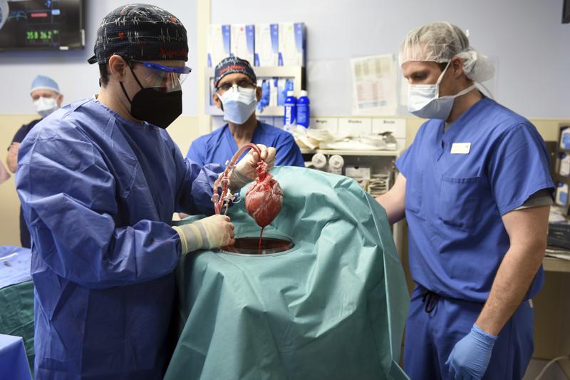 Primer trasplante de corazón de cerdo a un paciente humano en EE.UU.