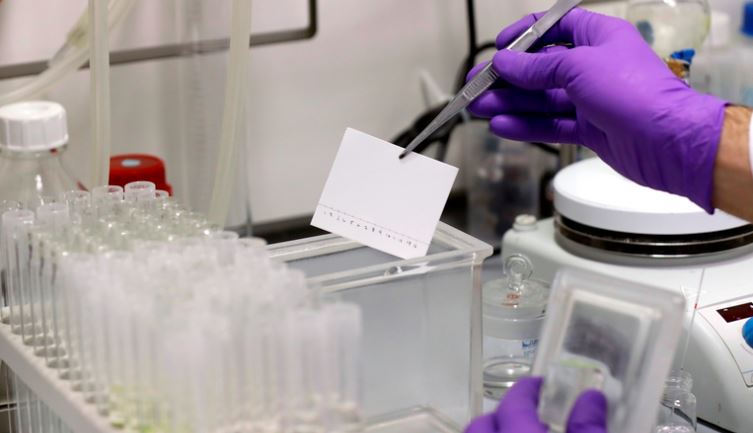 Científicos encontraron 47 medicamentos ya conocidos para combatir el coronavirus