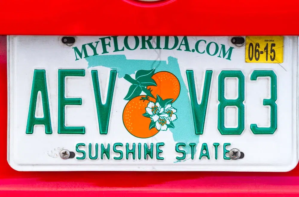 Proponen marcar placas de vehículos de delincuentes sexuales en Florida