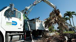 El comisionado Díaz aprobó resolución para poner fin al vertido ilegal de desechos