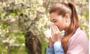 Alergia al polen: ¿por qué los hermosos robles de Florida Central causan hipersensibilidad?