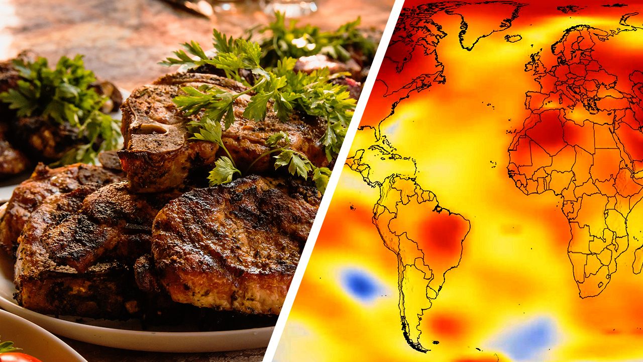 La ONU pide comer menos carne para combatir la crisis climática
