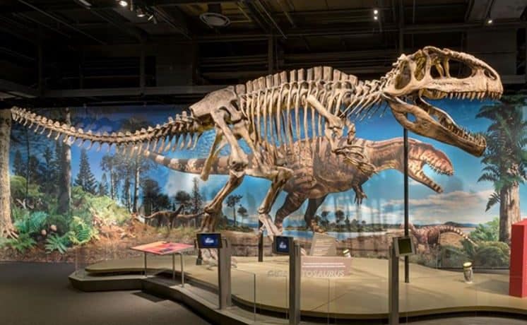 Exhibición “Ultimate Dinosaurs” llegó a Miami