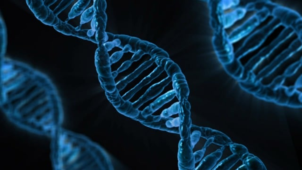 Micro-ARN: Descubrimiento que obtuvo el Premio Nobel de Medicina 2024