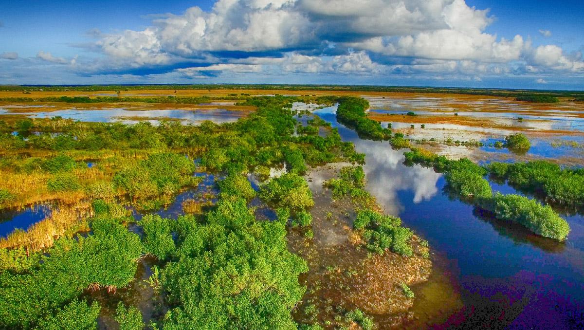 Ambientalistas en desacuerdo sobre el destino del fondo de restauración de los Everglades
