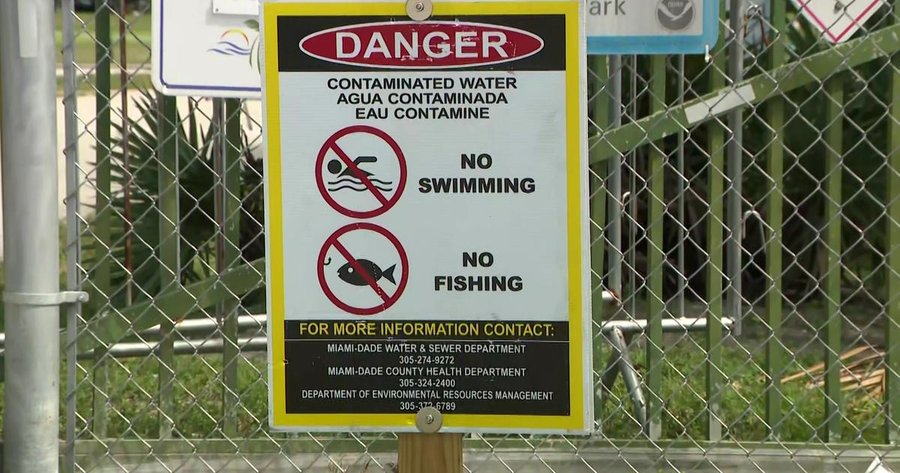 Miami-Dade levanta advertencia de no nadar para Virginia Key, Biscayne Bay