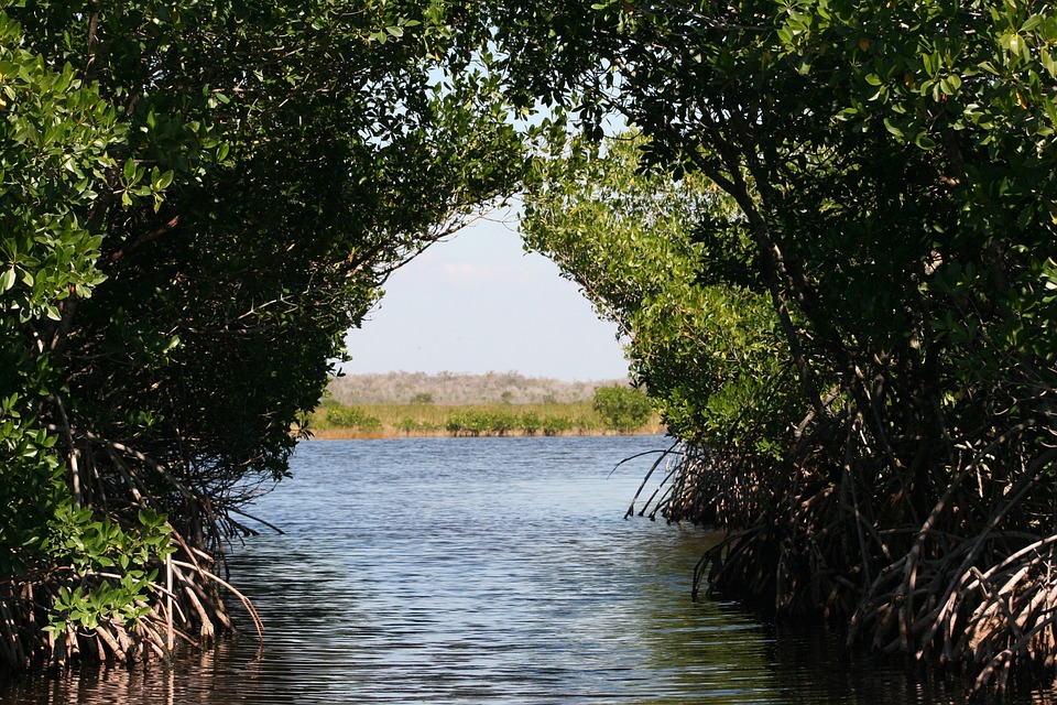 Rescatan a familia que estuvo a punto de hundirse en Los Everglades