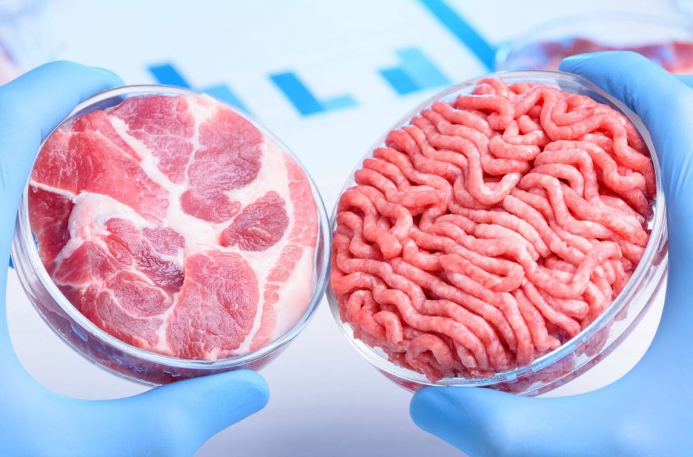 Del laboratorio a la mesa: la carne futurista que se venderá en EE.UU.