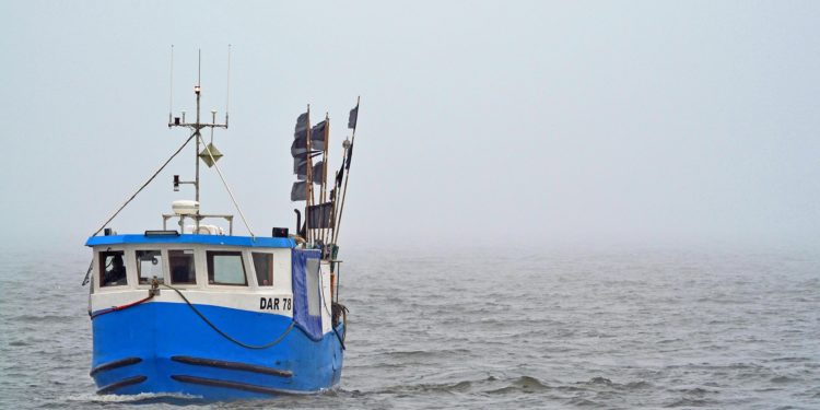 Pesca ilegal: principal amenaza para la seguridad marítima mundial