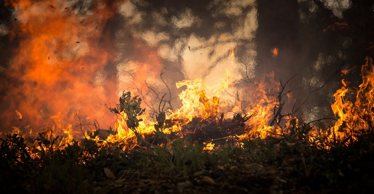 Se registraron hasta tres incendios forestales en Florida: Más de mil personas fueron evacuadas de sus hogares