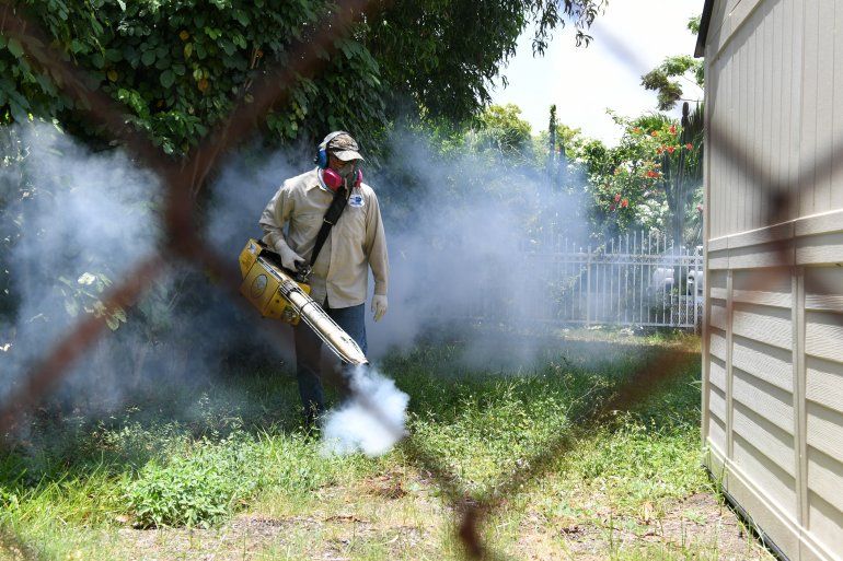 Alerta en condados Sarasota y Manatee tras dos infecciones de malaria confirmadas