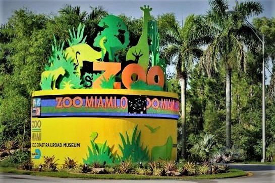 Miami Zoo da la bienvenida a una gacela bebé