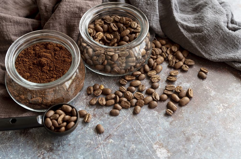 Sorprendente proyecto con IA busca convertir a Florida en un estado cafetalero
