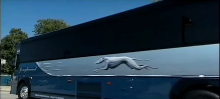 Empresas como Greyhound no están obligadas a permitir redadas migratorias en sus autobuses
