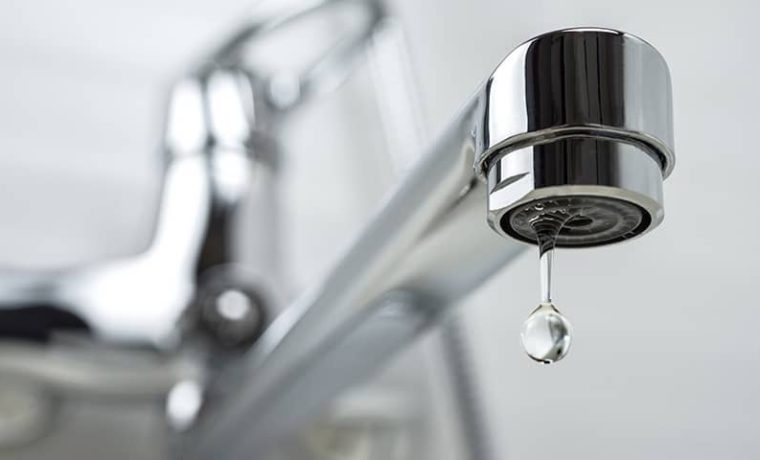 Bacteria “come cerebro” mató a hombre en Florida: se lavó la nariz con agua del grifo