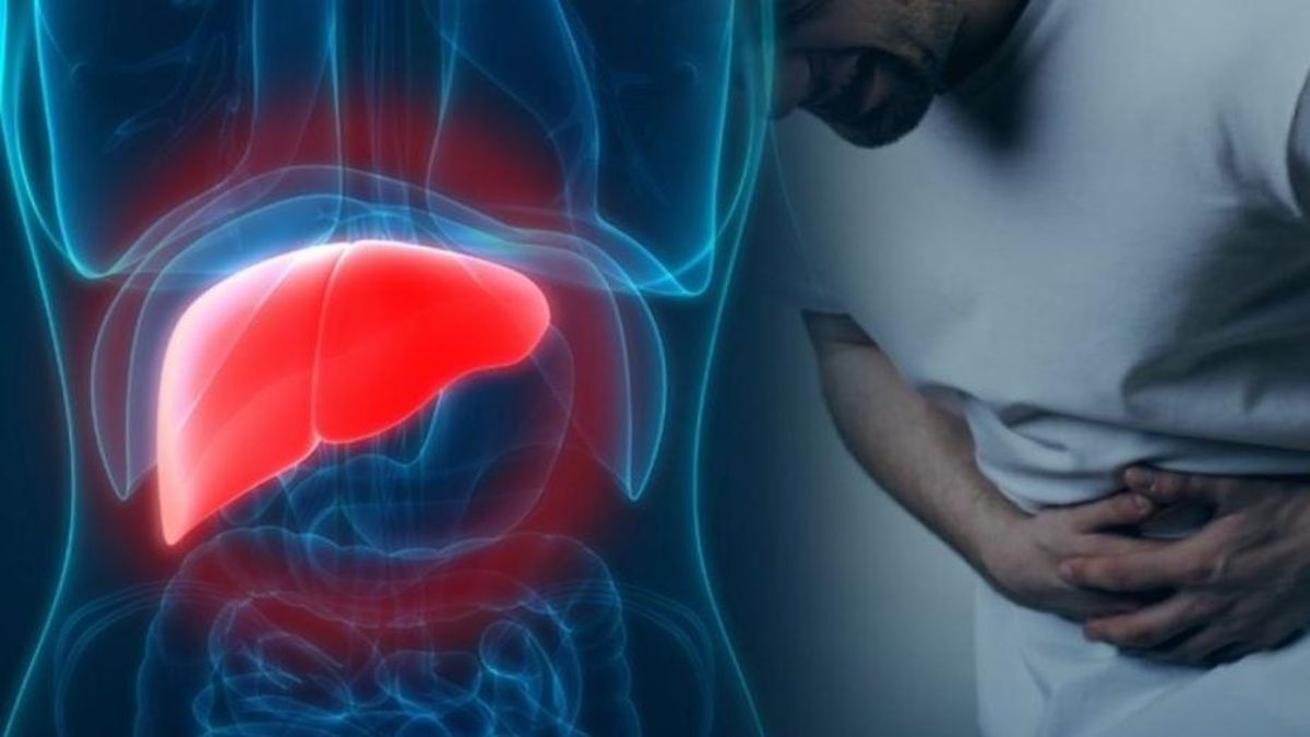 Científicos hallaron una nueva terapia para la enfermedad del hígado graso