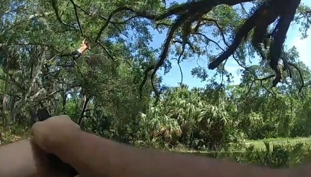 Se creyó “Tarzán” e intentó huir de la policía colgándose de un árbol