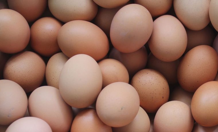 Contrabando de huevos México-USA: ¿Cuáles son las sanciones?