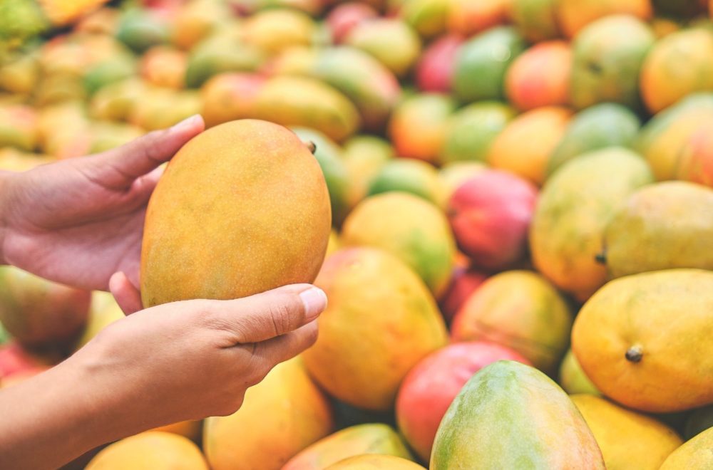 Agricultores de Homestead en crisis: ¿Por qué no compran sus frutas?