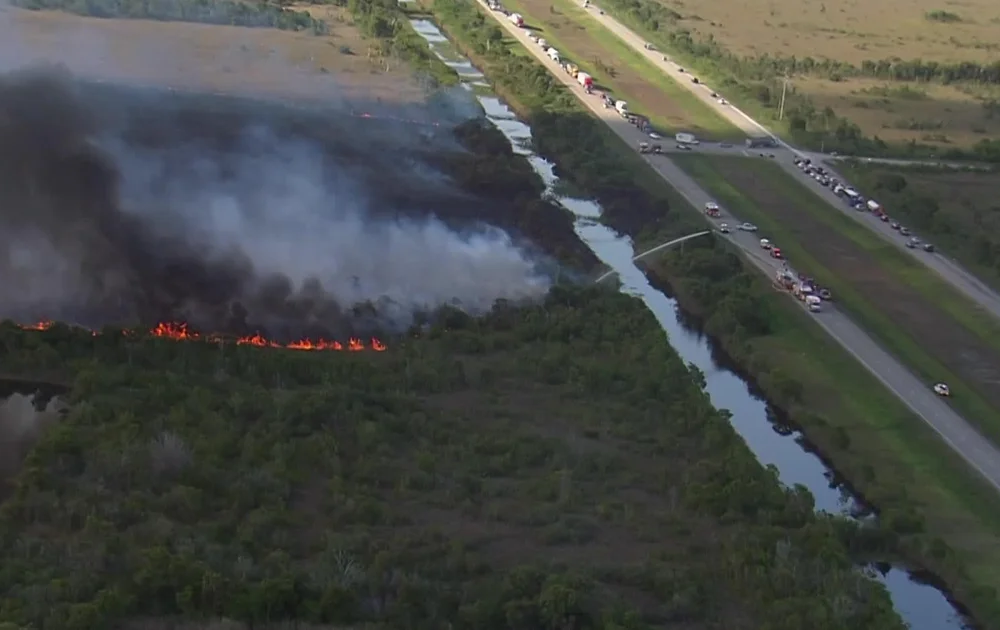 El mayor incendio forestal de Florida se desató en Broward: cientos de acres arrasados