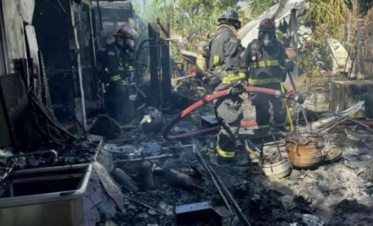 Grupo de animales murieron en gran incendio en casa de Hialeah