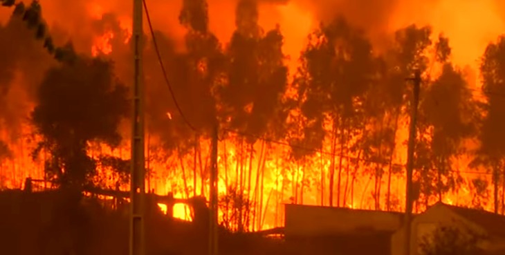 Suiza toma precauciones contra incendios forestales