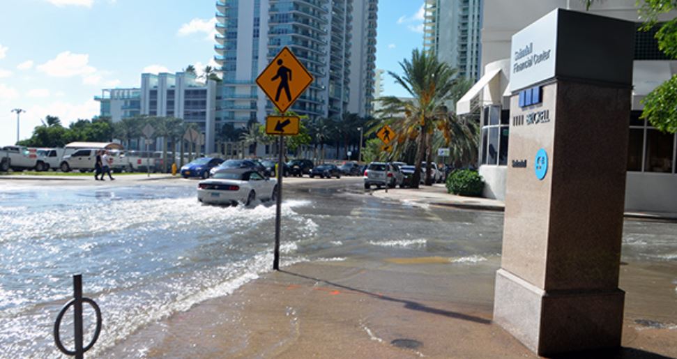 Cámara de Representantes omite esfuerzos para evitar inundaciones en Florida