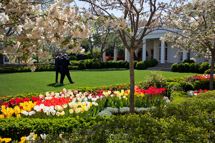 Piden a Jill Biden que deshaga los cambios de Melania Trump al jardín de rosas de la Casa Blanca