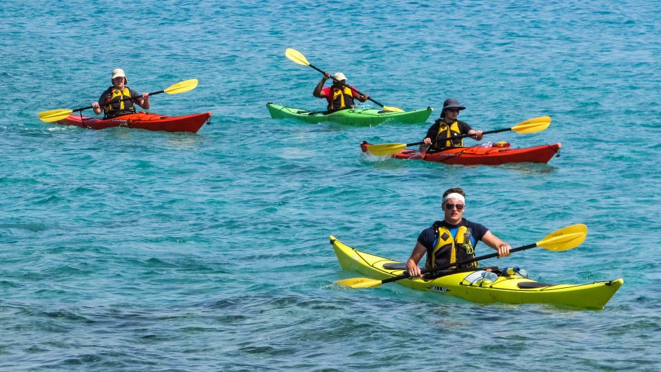 Navega por la Bahía de Biscayne de una forma diferente… ¡a bordo de un kayac!