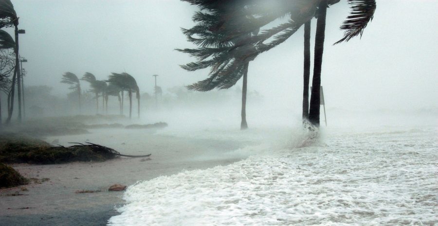 Ignorar los cambios climáticos podría traerle problemas mayores a la economía de Florida