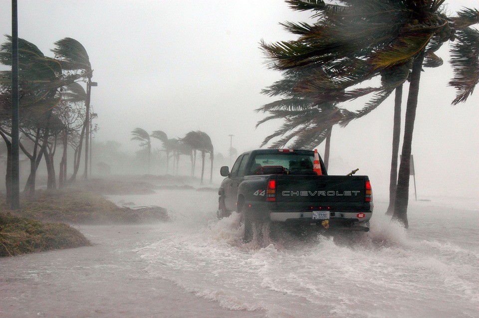 Tiroteos masivos y regreso de los huracanes: Una década con matices grises para la Florida