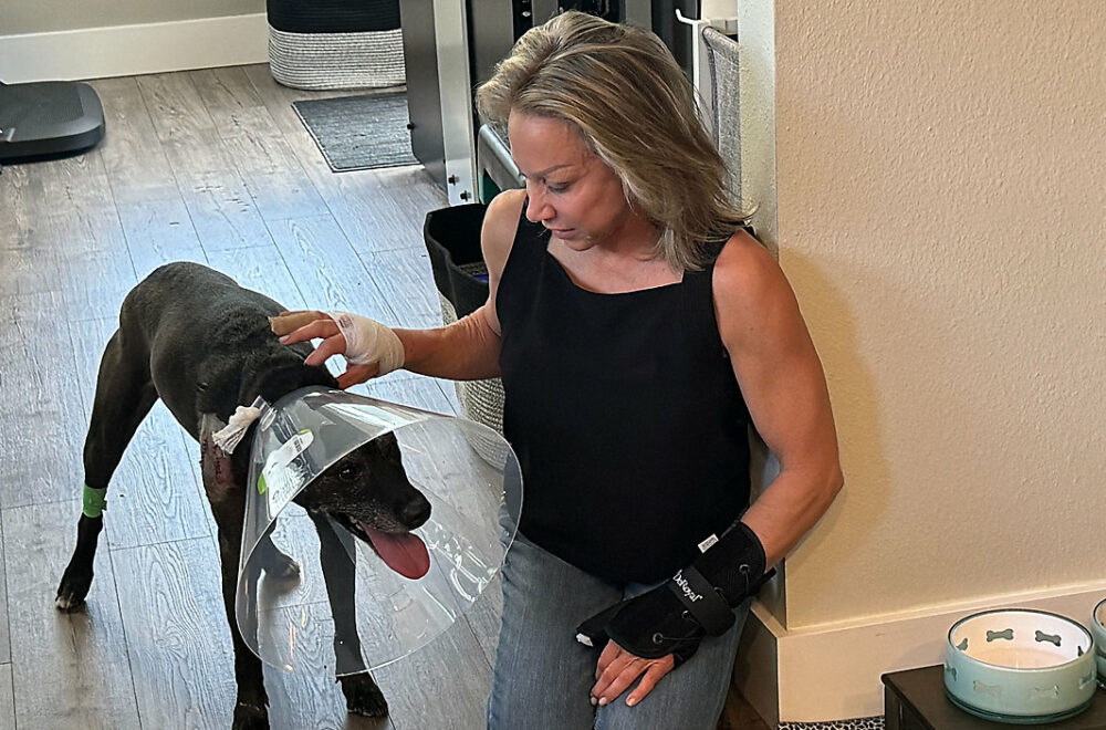 Mujer abrió las fauces de un caimán con sus propias manos para salvar a su mascota en Tampa