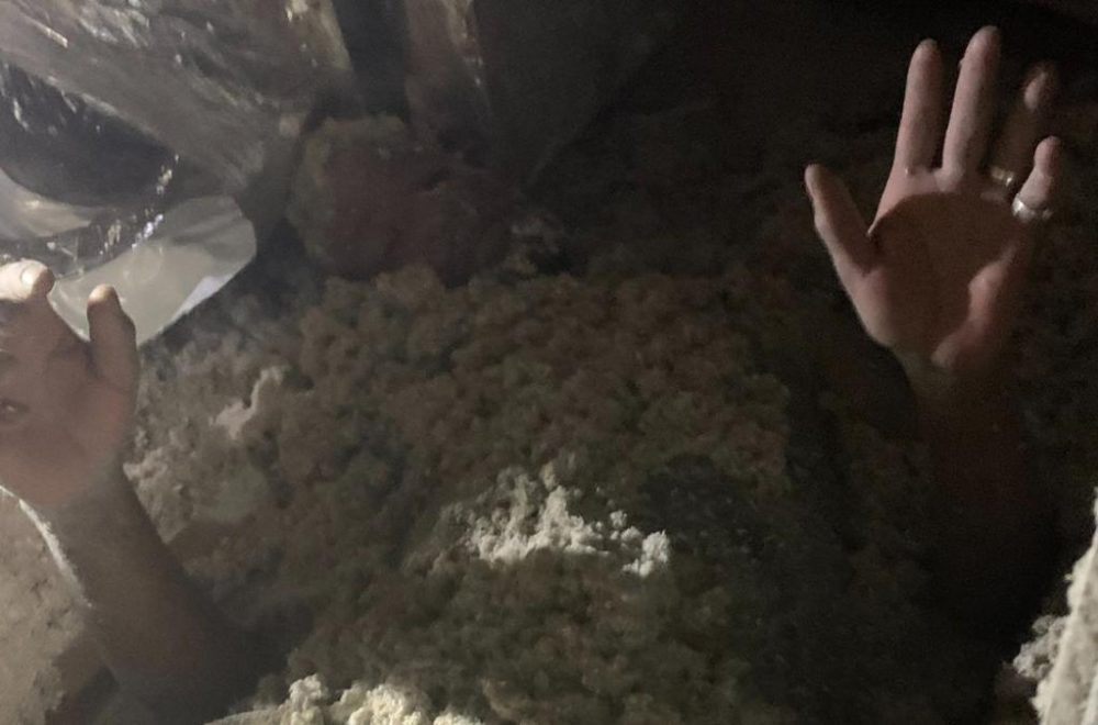 Entró a robar una casa y sorprendió a la policía con su insólito escondite