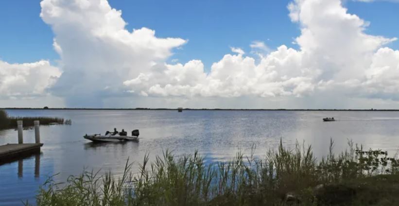 ¡Atención! Florida emite alerta por algas tóxicas en lago Washington