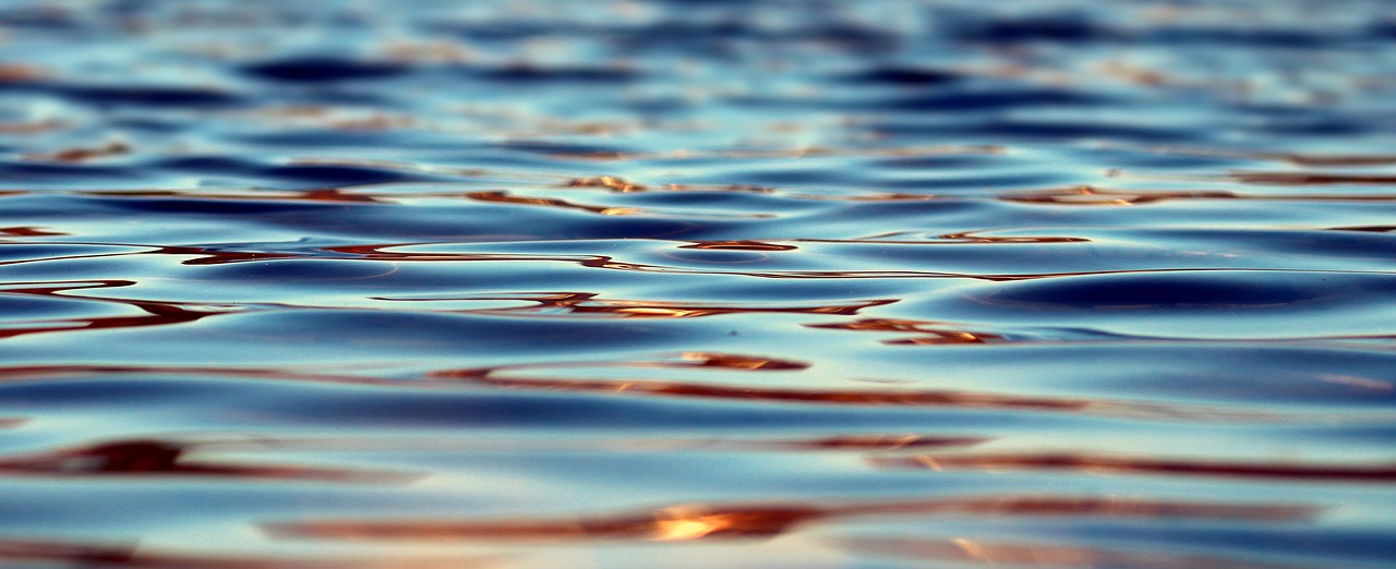 Lanzan sitio web en Florida que permite monitorear la calidad del agua