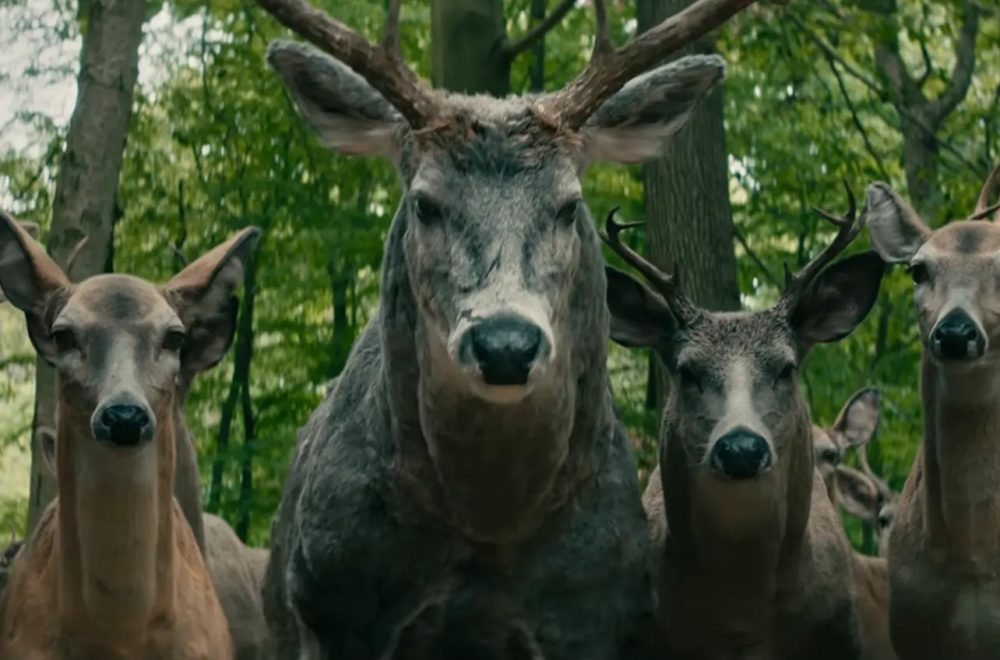 ¿Qué significan los ciervos en la película de Netflix “Leave the World Behind”?