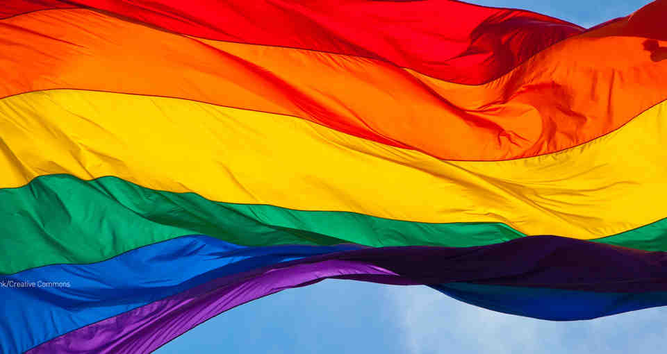 Por discriminar a alumnos homosexuales: retiran ayuda a becas para escuelas privadas de Florida