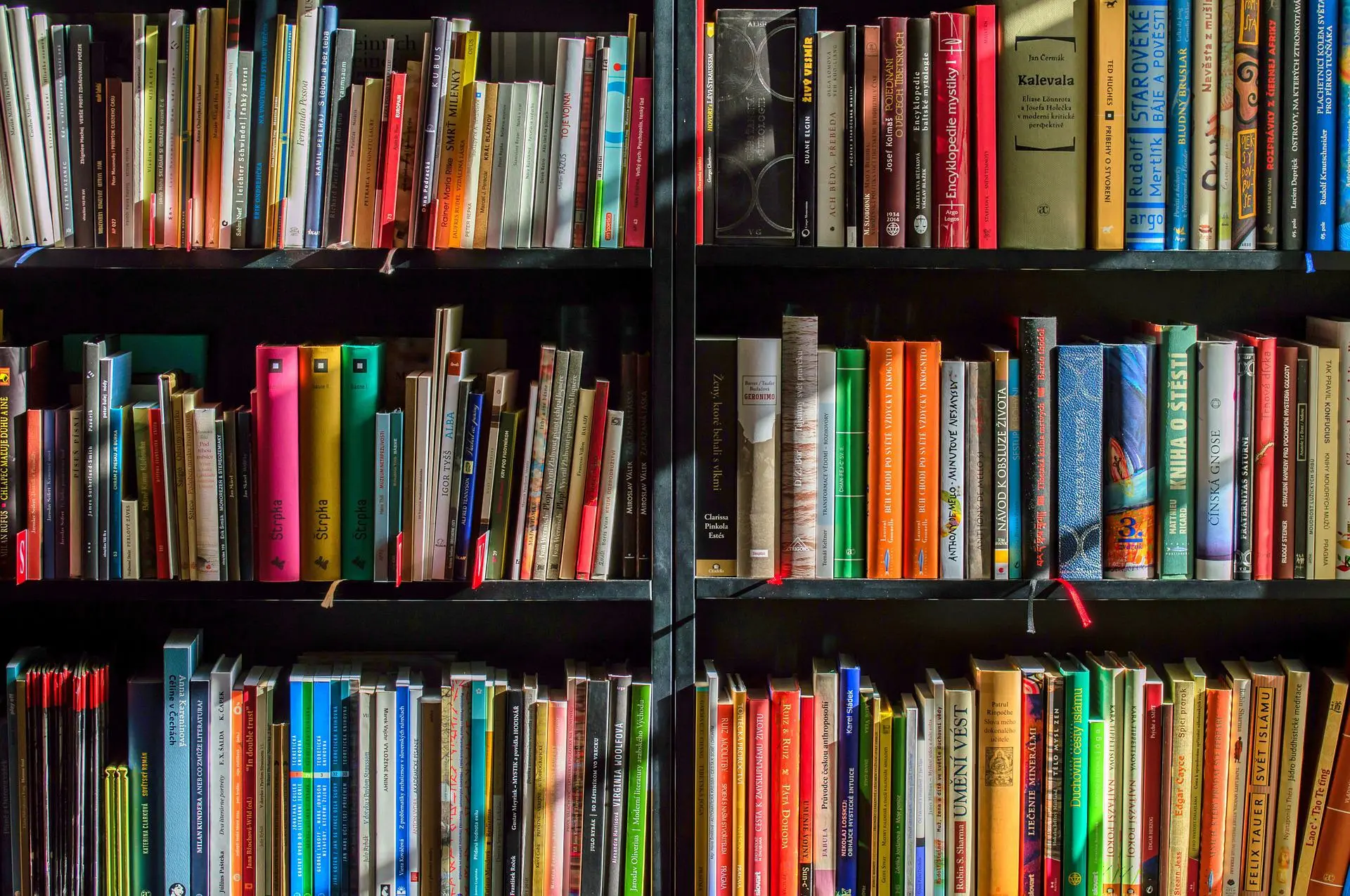 Los libros deben estar fuera de las aulas ante el regreso a clases en Florida