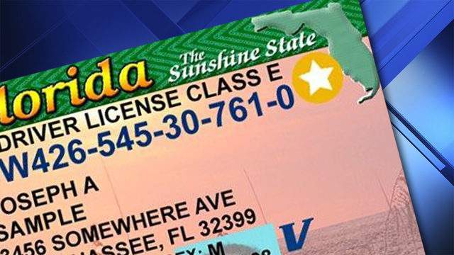 ¡Atención! Florida cambió proceso de citas para trámite de licencia de conducir