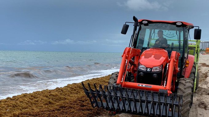Autoridades de Miami-Dade iniciaron operativo para eliminar el sargazo de las playas
