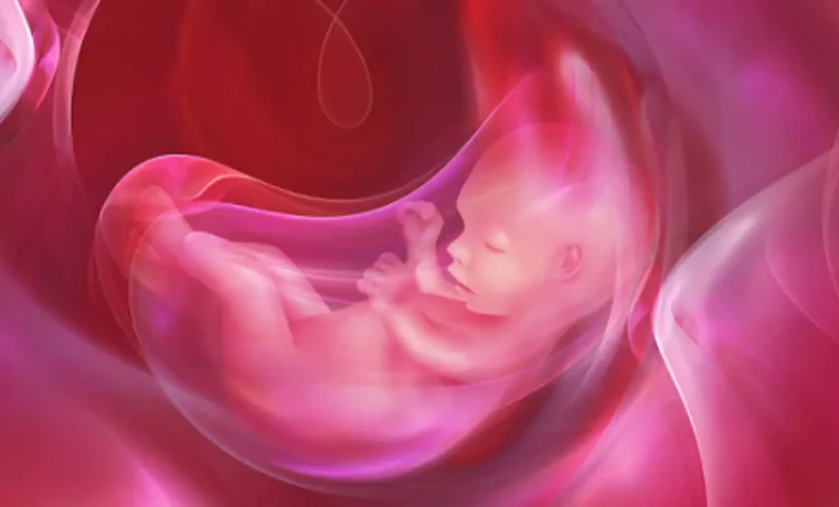 Exceso de líquido amniótico causa graves problemas durante el embarazo