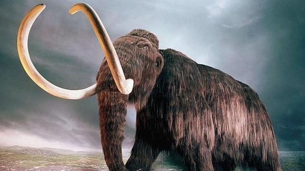 ¡Increíble! Encuentran restos de mamuts en la construcción del nuevo aeropuerto de México