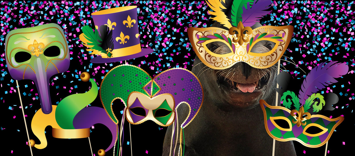 Mardi Gras en Miami… Las mejores opciones para celebrar esta fiesta imperdible
