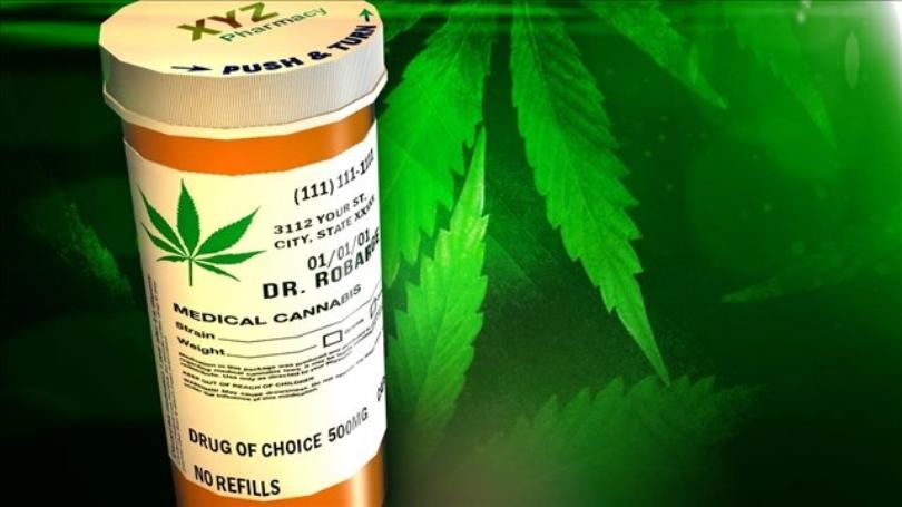 Presentaron Proyecto de ley que resguarda a pacientes de marihuana medicinal en escuelas públicas