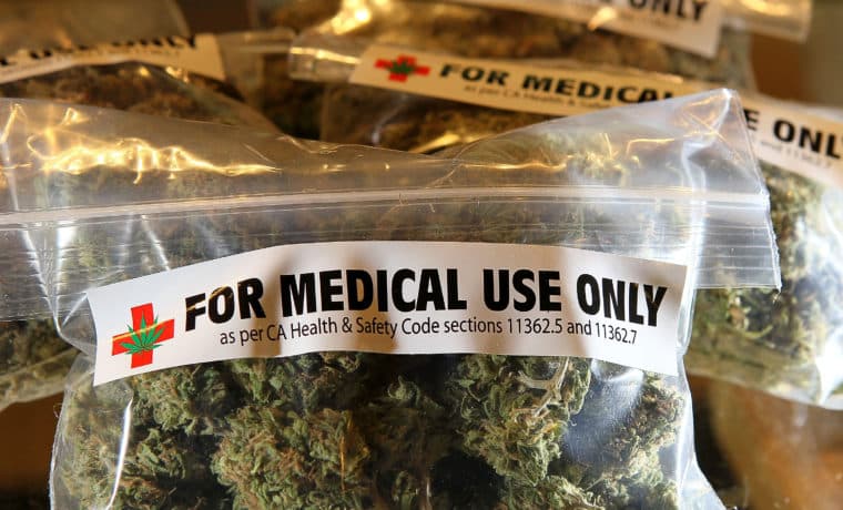 Florida aumentará licencias de marihuana medicinal