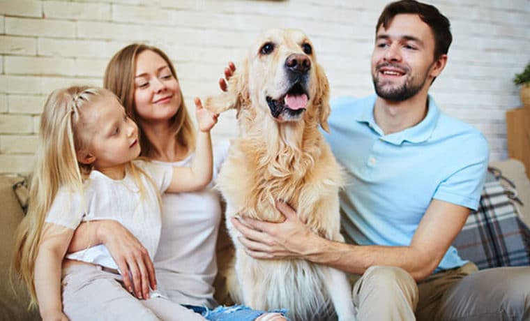 IRS: ¿Los gastos de tu mascota son deducibles de impuestos?