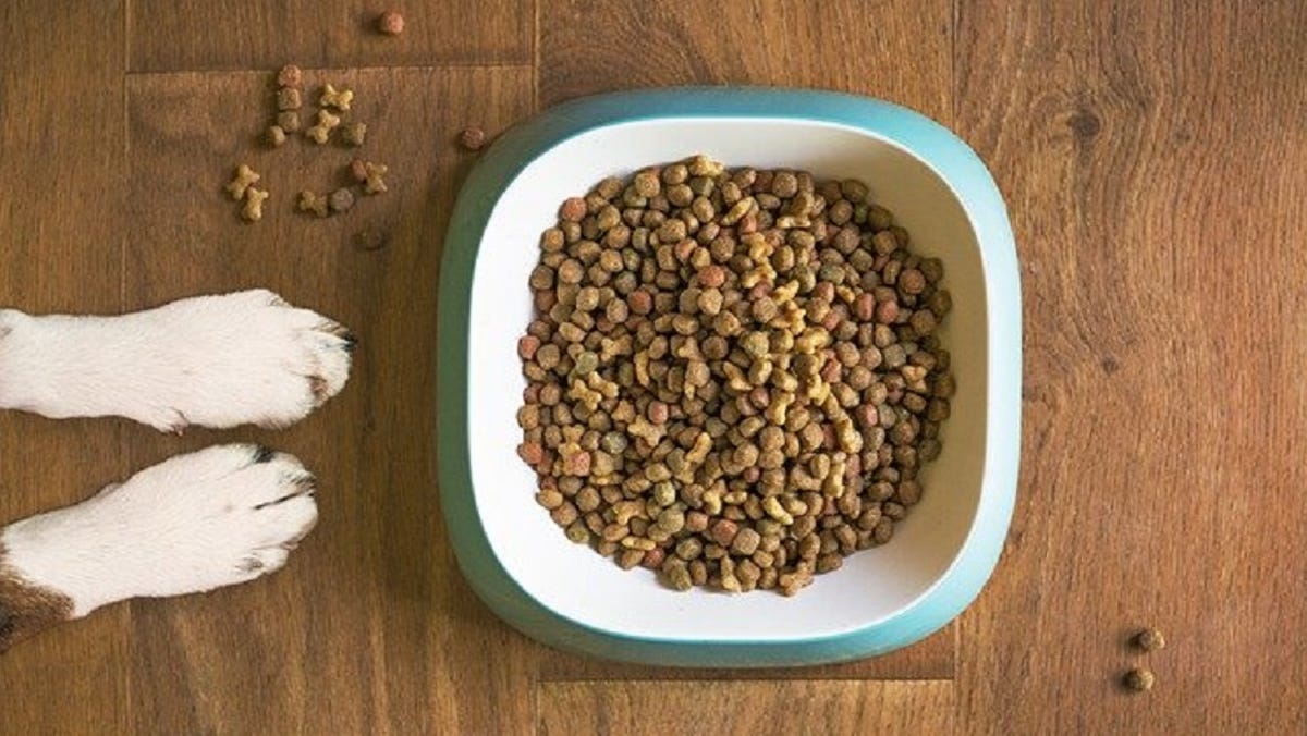 FDA retira comida para mascotas del mercado tras muerte de 28 perros