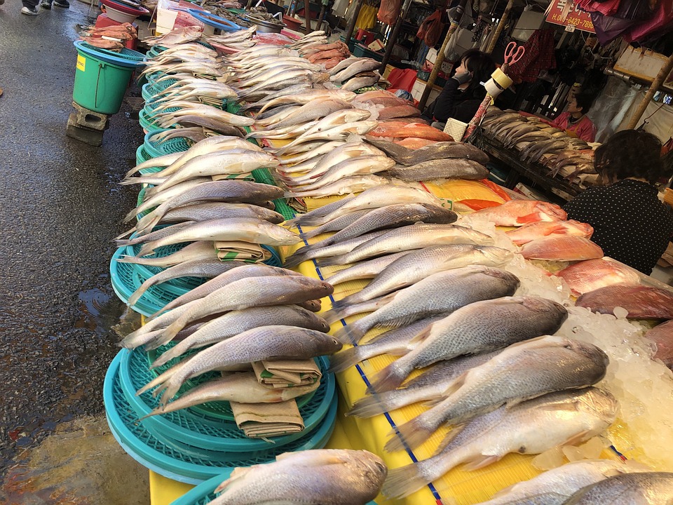 mercado de pescado en Hong Kong4